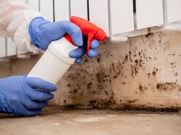 Best Real Estate Mold Inspection  in Gunter, TX